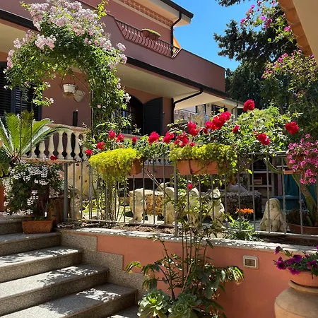 Regina * Santa Domenica (Vibo Valentia)